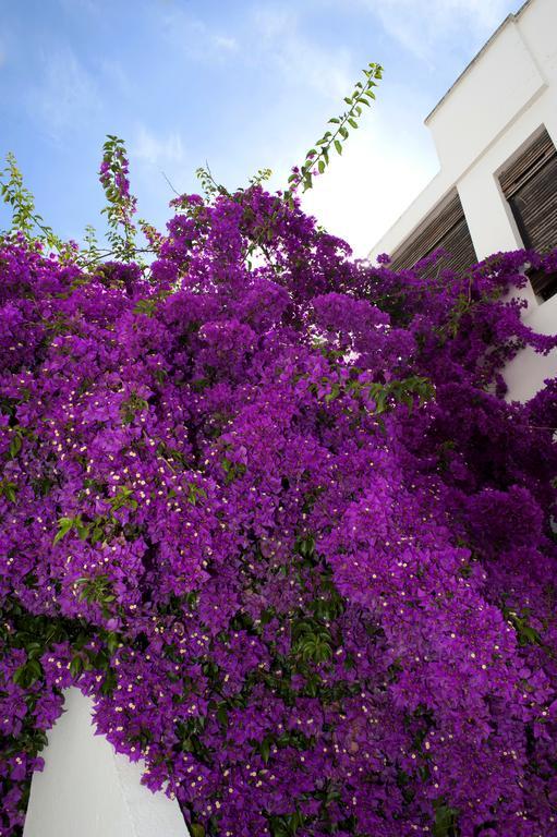 Haspeyma Otel Αλικαρνασσός Εξωτερικό φωτογραφία
